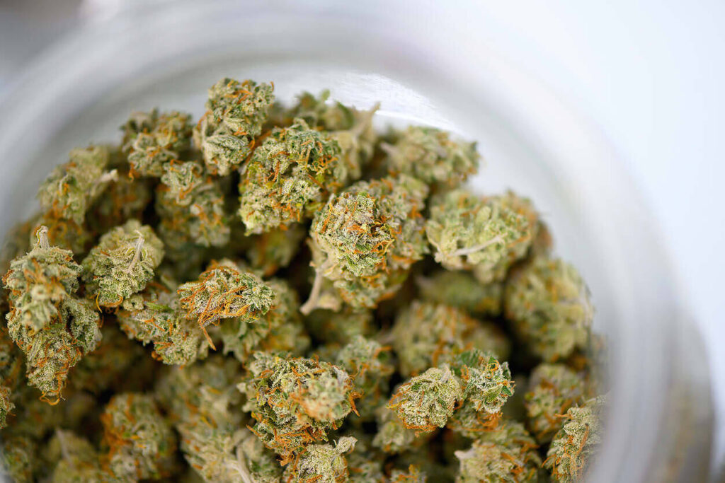 Close-up of dried marijuana buds in a white bowl, showing green cannabis flowers with orange pistils|Close-up of marijuana buds spilling from a dark container alongside fresh cannabis leaves, illustrating different forms of the plant